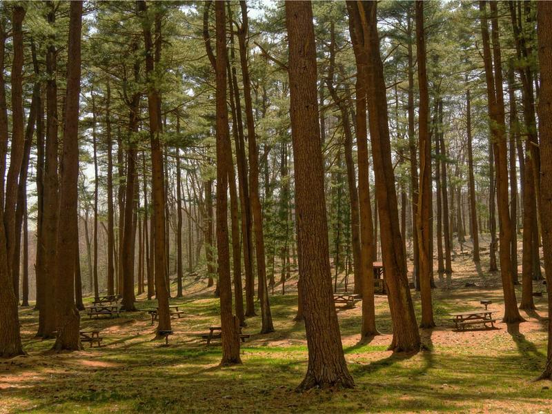 sudoku learning tool screenshot 4