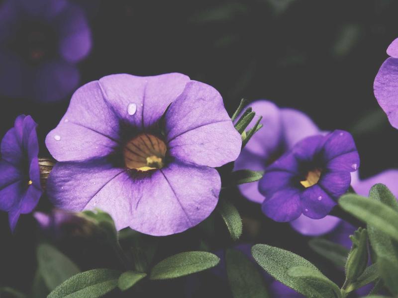 killer sudoku screenshot 5