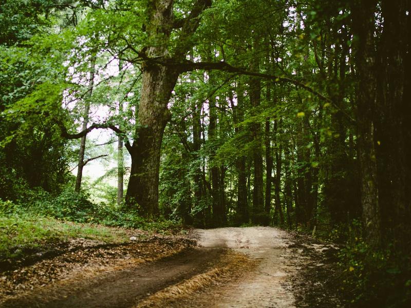 killer sudoku screenshot 3