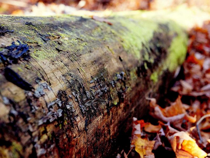 sudoku timer mode screenshot 3