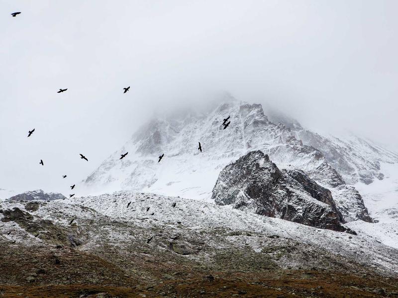 sudoku timer mode screenshot 6